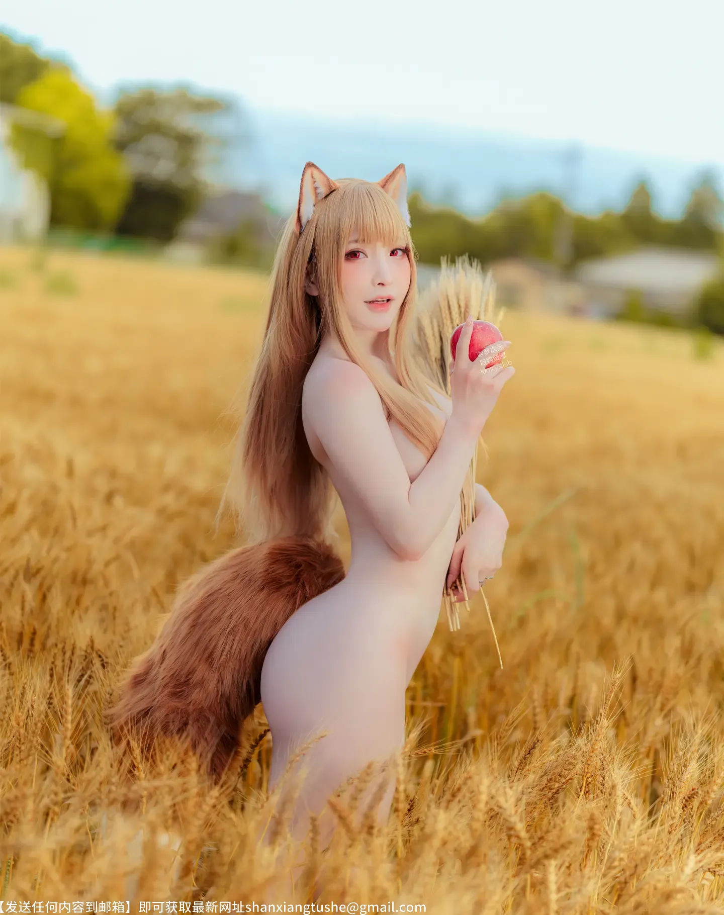 图片[4]-小丁 Holo Spice And Wolf-69图社