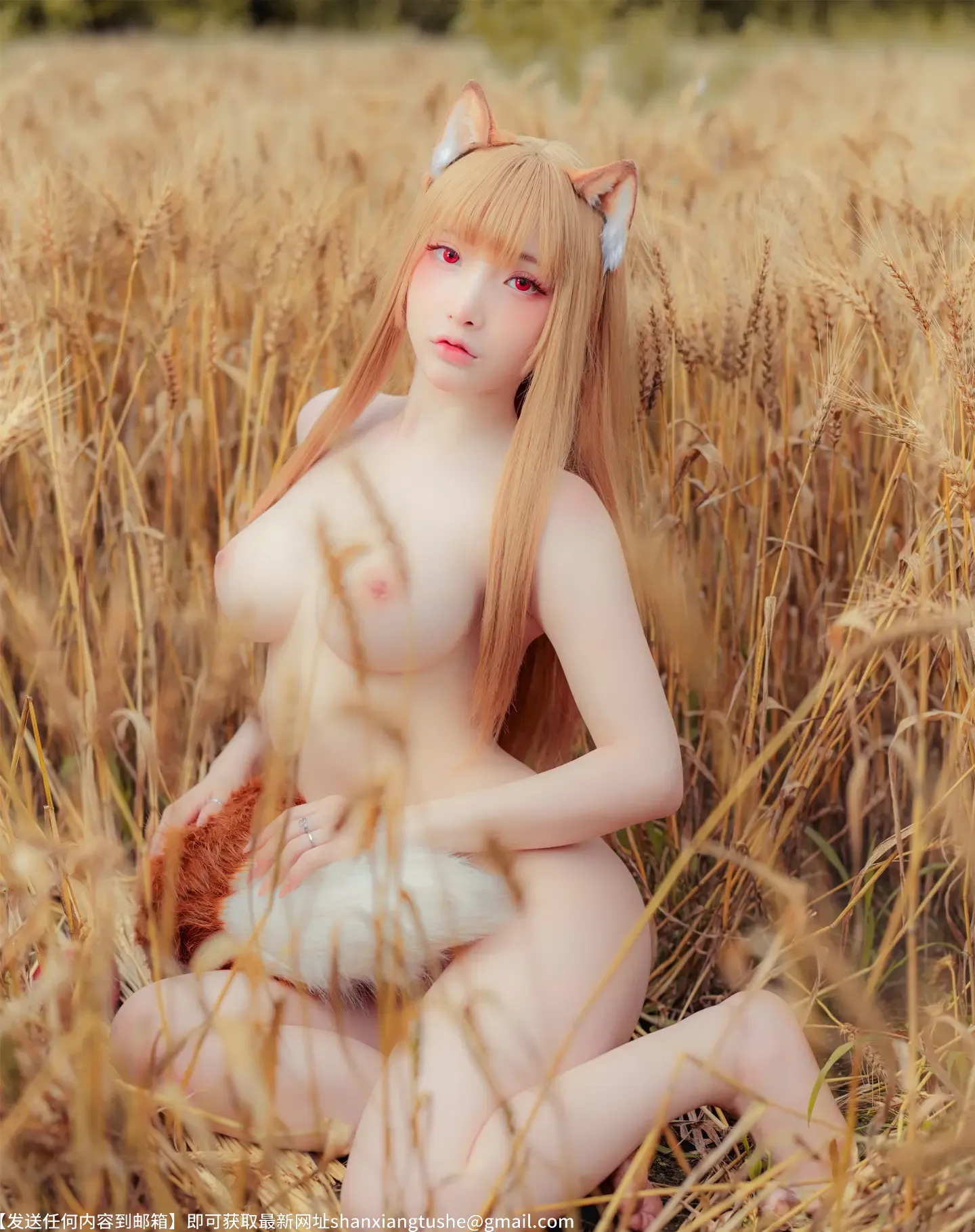 图片[8]-小丁 Holo Spice And Wolf-69图社